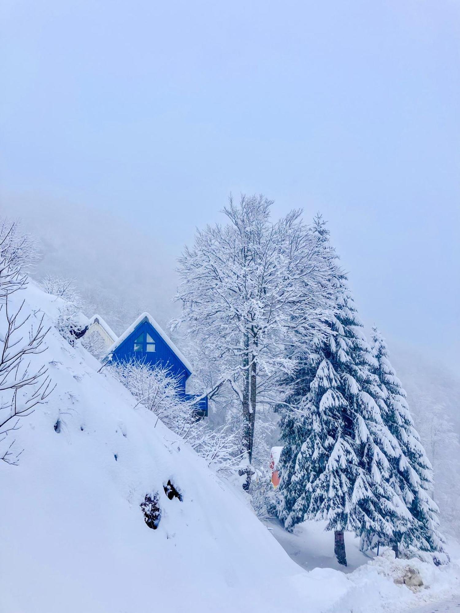 Iskoe Chalets-Hoetel, Col D'Aubisque 古雷特 外观 照片